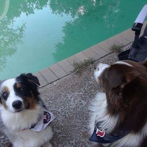 Meet your Posher, Hunter